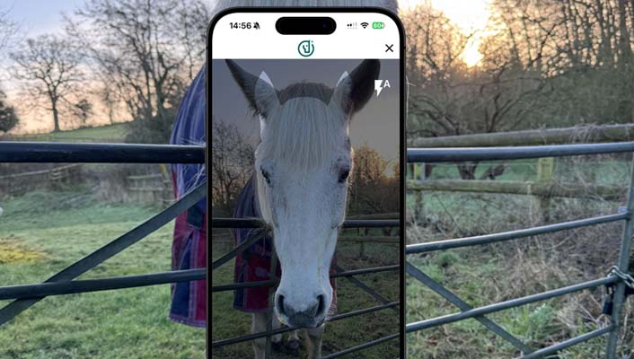 Add Horse Marking images